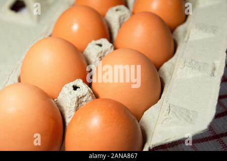 Nahaufnahme von braune Eier in einem Ei Karton. Stockfoto