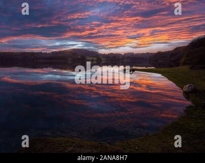 Atemberaubenden Sonnenuntergang in einer ruhigen Wasser Blatt, dass die Goldene Wolken reflektiert Stockfoto