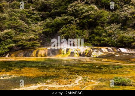 Warbrick Terrasse in das Vulkantal Waimangu, Rotorua, Bay of Plenty, Neuseeland Stockfoto