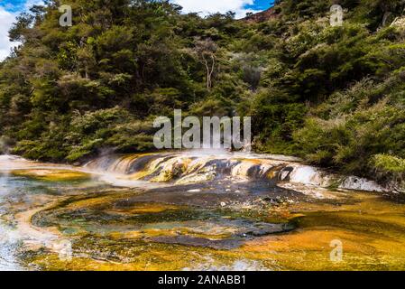 Warbrick Terrasse in das Vulkantal Waimangu, Rotorua, Bay of Plenty, Neuseeland Stockfoto