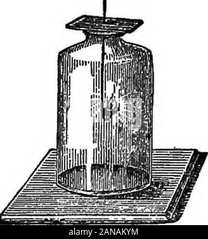 Grundlagen der medizinischen und klinischen chemistryWith Übungen. Alle Materie hat Gewicht. In der offenen Luft Bybalances weget die scheinbare Gewicht der abody; aber die ab zu bekommen - gelöste Gewicht muss in einem Vakuum wherethere beweighed keine Luft es bis zu Boje. (Bei Maßnahmen, die von Gewicht, Siehetabelle an der Rückseite des Buches.) Aber der meisten Bedeutung für die studentof Chemie ist das spezifische Gewicht oder spezifisches Gewicht, durch Whichwe das Gewicht eines Stoffes bedeuten im Vergleich zu der palettengewichtvon das gleiche Volumen eines anderen Stoffes als astandard angegeben. Es ist nicht das Gewicht einer bestimmten Stelle oder Stück ofa Sub Stockfoto