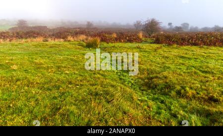 Herbst morgen auf ein kornisches Moor wie die Sonne verbrennt der Nebel Stockfoto