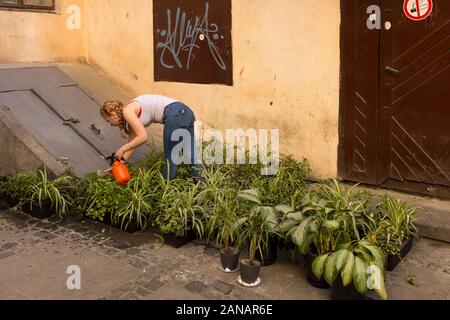 Eine junge Frau Gewässer Haus Pflanzen in einem versteckten Gasse in der Altstadt von Lemberg in der westlichen Ukraine. Stockfoto