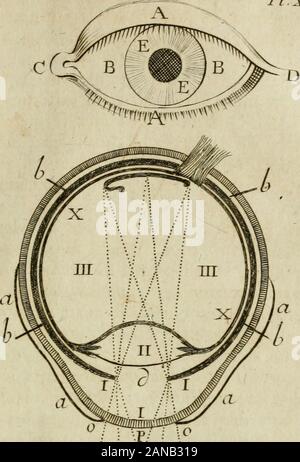 Notionaire; ou, Mémorial raisonné de ce qu'il y a d'utile et d'intéressant dans les connoissances acquises depuis la Création du Monde jusqu'à présentAvec zahlen en Taille-douce. Voit dans la Fi^. //. Où le Crochet de lacrolfepa - roît à droite Fell la rétine, Anhänger quil eft réellement àgauche), cependant loeil qui le regarde Hors de Lui Runde - perçoit toujours dans Fa fituation naturelle; ceft que lecerveau, qui ici eft lame fenfîtive, Étant averti par lesfibers nerveufes du Nerf optique Z qui Lui ont reçues communiquentles impreftions Quelles, cette ame fuit, gießen Sie ainlidire, tous les Rayo Stockfoto