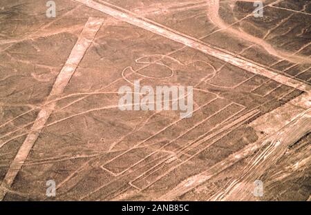 Luftbild der Papagei Nazca-linien Peru Stockfoto