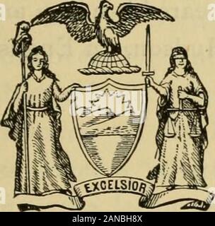 Unsere großen Kontinent; Skizzen, malerischen und historischen: innerhalb und außerhalb der Staaten. (1614.). New York ist das Empire State genannt. Es fairlyentitled auf die Würde des Menschen ist durch die Anzahl der Menschen, itswealth, der bevölkerungsreichsten Städte, seine Kanäle und Eisenbahnen, theextent der landwirtschaftlichen und hergestellte Produktionen, seine öffentlichen Institutionen zum Nutzen der Gesellschaft und itspolitical und sozialen Einfluss in der Nation, wie die anderen Mitgliedstaaten comparedwith. New York ist eine der mittleren Atlantik Staaten, und eine Der originalthirteen. An den Grenzen sind die Herrschaft von Kanada und den Staaten ofVermont, Stockfoto