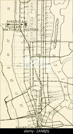 Leitfaden für die Natur Schätze von New York City; American Museum of Natural History, New York Aquarium, New York zoölogicl Park und Botanischer Garten, Brooklyn Museum, Botanischer Garten und Museum für Kinder. rection aller theactivities des Museums, sowie die Vormundschaft der Sammlungen und Ausstellungen. Alle Sammlungen in den Messehallen und im thestudy Zimmer sind die Gaben des Kuratoriums, Mitglieder und sonstige Freunde und Förderer der Institution. Die fundswhich ermöglichen die Treuhänder zu Proben, Kauf Erkundungen in verschiedenen Teilen der Welt prepareand Carryon, zu veröffentlichen. Stockfoto