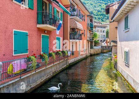 Idyllischer Blick in Cassone di malcesine, schönen Dorf am Gardasee. Venetien, in der Provinz Verona, Italien. Stockfoto