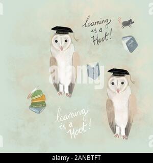 Eule Abbildung Stockfoto