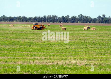 Einen landwirtschaftlichen Traktor Lader lasten Heuballen in einen Traktor Anhänger auf dem Feld Stockfoto