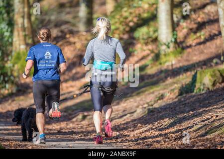 Ansicht von Hinten Nahaufnahme von zwei Frauen in Großbritannien Woodland Park im warmen Sonnenschein isoliert ausgeführt - ungewöhnliche Hitzewelle Wetter von Februar 2019. Stockfoto