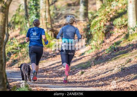 Rückansicht Nahaufnahme von zwei Frauen, die isoliert im britischen Waldpark bei warmem Sonnenschein laufen - ungewöhnliches Hitzewetter, Februar 2019. Stockfoto