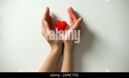 Rotes Herz in weibliche Hände auf weißem Hintergrund, Annahme oder medizinisches Konzept Stockfoto