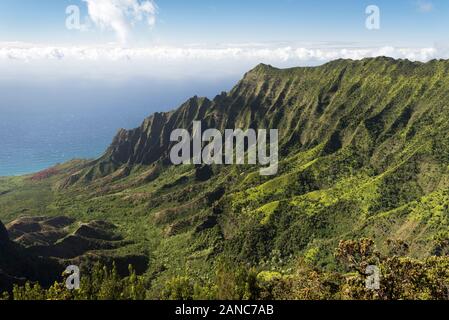 Das Kalalau Tal, das mit Blick auf den Pazifischen Ozean auf der Nā Pali Küste, Kauai Hawaii öffnet. Stockfoto