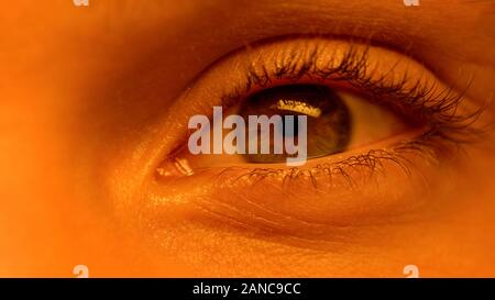 Menschliche Auge in die Kamera schaut, Falten, Alterungsprozess, extreme Close-up Stockfoto