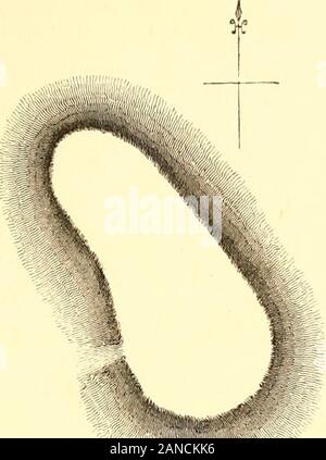 Die Geschichte der Banbury: inkl. reichhaltigen Historischen und antiquarischen Hinweise auf die Nachbarschaft. H UND RÖMISCHEN KEIIAINS.. ILBDRT^ BRITI 3H, Lagerplatz Flan. ^0 mm/,, Stockfoto