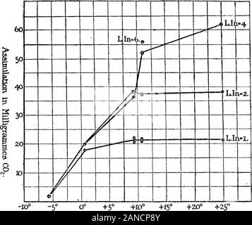 Experimentelle Forschungen auf pflanzliche Assimilation und RespirationIIIOn die Auswirkung der Temperatur auf Carbon-Dioxide Assimilation. von lightrepresented von L. In. = 1 kann bei der niedrigen Temperatur genutzt werden. Wenn die Intensität wird verdoppelt, die Assimilation bei 0°4C unverändert ist, aber anincrease ist am anderen Temperaturen, Zahlen fast identisch für alle diese beingobtained. Wenn vier Mal das Licht verwendet wird, finden wir eine similarphenomenon. Die Assimilation bei 9°C ist nicht größer als die entsprechenden totwice das Licht, die für die Temperatur übt seine begrenzende Wirkung und das Blatt canassim Stockfoto