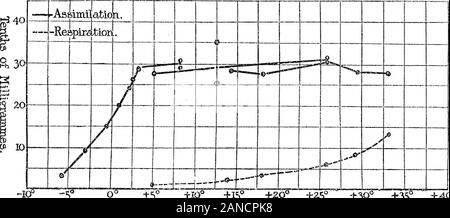 Experimentelle Forschungen auf pflanzliche Assimilation und RespirationIIIOn die Auswirkung der Temperatur auf Carbon-Dioxide Assimilation. e Blatt Kammer in jedem der Experimente attemperatures unter 0°. (Wenn • * Wo die Atmung bei einer bestimmten Temperatur ist nicht experimentell gefunden wurde, die amounthas aus der Atmung Kurve in Abb. berechnet wurde. 2. t das folgende Experiment zeigt, dass dieser Mangel an Wasser hatte keine hemmende Wirkung (bei niedrigen Temperaturen) auf der Assimilation. Ein Blatt war bis in die Kammer, in der üblichen Weise eingestellt, aber ohne Wasser. Drei Lesungen der assimila-GEMÜSE Stockfoto