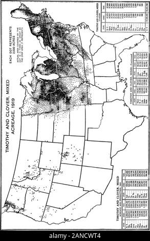 Eine grafische Übersicht der amerikanischen Landwirtschaft, die sich weitgehend auf die Volkszählung von 1920... . Abb. 39.- Timothy ist praktisch zum nordöstlichen Viertel der USA beschränkt, außer einem verstreuten Anbauflächen in den feuchteren Gebieten der Rodtv MountainRegion. Der westliche Rand des Timotheus Anbauflächen in den Dakotas, Nebraska, andKansas markiert den Beginn der schwarzen Erde Gürtel, wo Kalk suhsoU accumlated hat Inder, der dichten Luzerne Flächeninhalt und der landwirtschaftlichen Praktiken (Abbn. 6, 42 und 103). Die südliche Grenze des Timotheus folgt etwa die Linie von 200 Tagen m Die frostfreien Meer Stockfoto