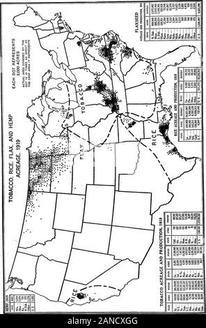 Eine grafische Übersicht der amerikanischen Landwirtschaft, die sich weitgehend auf die Volkszählung von 1920... . Schwein. 36. - Die Sorghum werden für Futter viel weiter nördlich als für Korn angebaut; während die sweet Sorghum, die nicht üblicherweise für Korn angebaut, frequentlyused für Futter weit im Osten in der Baumwolle Gürtel und die Com und Winter Wheatregions sind. Die Anbaufläche von Sorghum für Futter ist größer als die Anbaufläche für Getreide, vor allem in Kansas, wo einige Sorghum ia zur Silageherstellung verwendet werden (siehe Schwein. 25). Es ist In-teresting zu beachten, dass der durchschnittliche Ertrag pro Acre von Sorghum Futter 1,7 Tonnen wurde 1919, als mit weniger tha im Vergleich Stockfoto