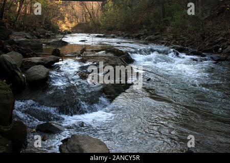 Der Blackwater Creek fließt durch den Wald in Hollins Mill Park, Lynchburg, VA, USA Stockfoto