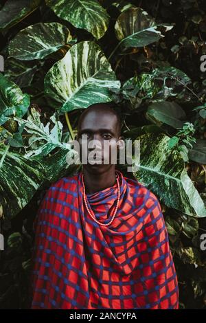 Maasai Mann in traditioneller Kleidung vor grünen Blättern Stockfoto