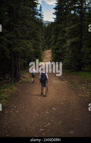 Vater und zwei Söhne im Teenageralter gehen nach dem Angeln in den kanadischen Rockies auf Wanderwegen Stockfoto