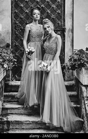 Schöne Brautjungfern in traumhaft elegante stilvolle Stock Länge v Neck chiffon Kleid Kleid mit Pailletten funkeln und Glitzersteinchen Holding eingerichtet Stockfoto