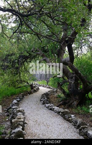 Angelegten Weg, Pfad, Onguma Tented Camp, Onguma Game Reserve, Namibia, Afrika Stockfoto