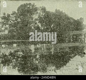 Trolley Reisen durch New England. . 84 Trolley Reisen durch New England. Stockfoto