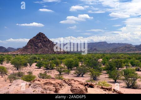 Arib scrub Wüste, trockene Landschaft, Ugab Tal, Damaraland, Namibia, RM Afrika Stockfoto