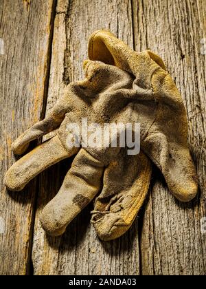 Studio still life Close-up von verschlissenen Leder Arbeitshandschuhe Stockfoto