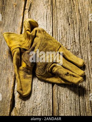 Studio still life Close-up von verschlissenen Leder Arbeitshandschuhe Stockfoto