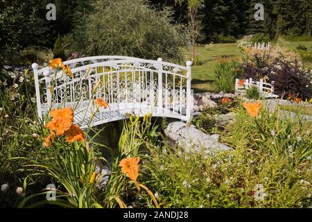 Grenze mit orange Hemerocallis - Daylily Blumen und weißen schmiedeeisernen Metall Fußgängerbrücke über Teich im Hinterhof Land Garten im Sommer. Stockfoto