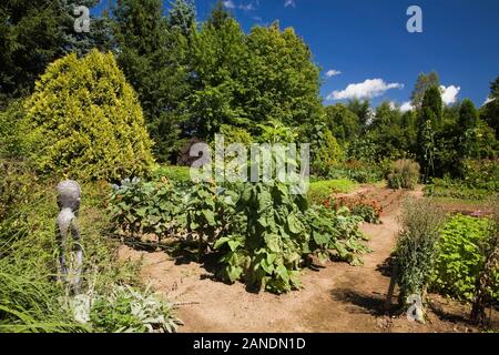 Pflanzen-, Gemüse- und Blumengärten, die Helianthus annuus - Sonnenblumen, orange Rudbeckia - Kegelblumen im Garten im Garten im Sommer umfasst Stockfoto