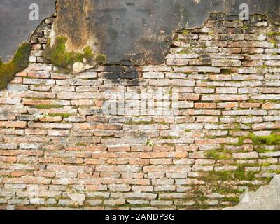 Grunge Mauerwerk wand Textur mit Moos render und Einschusslöcher Stockfoto