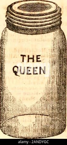 Pittsburgh leader Almanach und Kompendium der Fakten.lic Chinch gelegt, Juli 19 - Mr. Loveridge, ein Versicherungsagent, w ist in Uis Büro erschossen von Al, K. Henry, der. Mich-igan. Juli 30 - Mrs. Clark tot gefunden im UnionDepot - Hotel. August 1 - Mr. Alexander, einen farbigen Mann, tötete seine Frau in Adeuh uy Stadt. Au; ust 3 - Mr. Johu Beesley, eine alte Bürger, gestorben. Anguit 13-F. B. in Offenbach und FrederickMessinon, zwei junge Deutsche, waren Di ownedin der Allegheny River w iile Baden, % Ei) teiiiber 10-iho Ritter Iemplar departto nehmen an der Convention in Baltimore. Se | iieiiii&gt; er21 - Oiicning ol die Kampagne durch Sammeln m Stockfoto