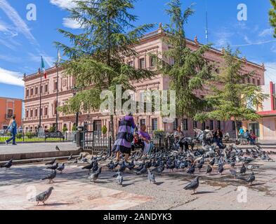 Saltillo, Coahuila, Mexiko - November 21, 2019: Frauen füttern Tauben auf der Plaza de Armas, mit dem Pink Palace im Hintergrund Stockfoto