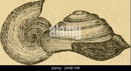 Die kanadische Zeitschrift für Wirtschaft, Wissenschaft und Kunst. Schwein. 123.. Kg. 124. Stockfoto