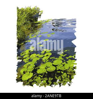 Realistische See mit Seerosen oder Lotus Blätter und Reed auf weißem Hintergrund. See Pflanzen, Natur Landschaft. Ruhigen Teich Szene. Vektor Stock Vektor