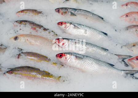 Frischen Fisch auf Eis im Markt Stockfoto