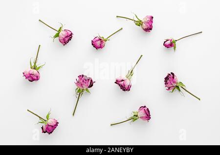 Vintage floral background aus getrockneten Rosen auf weißem Hintergrund. Flach und Overhead. Stockfoto