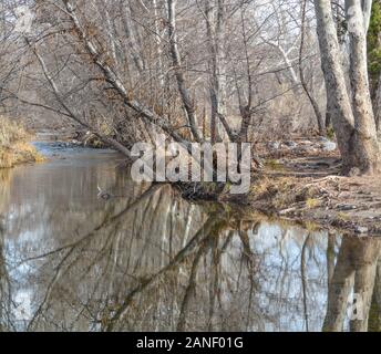 West Clear Creek in Camp Verde, Yavapai County, Arizona, USA Stockfoto