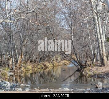 West Clear Creek in Camp Verde, Yavapai County, Arizona, USA Stockfoto