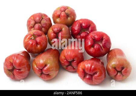 Rose Äpfel oder chomphu oder Java Apple oder Syzygium Samen auf weißem Hintergrund Stockfoto