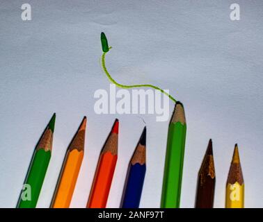 Unterschiedliche Farben der Bleistifte, die in einem Muster. Farbige Buntstifte arrangiert in einer sinnvollen Art und Weise. Nehmen Sie Ihr Leben in die eigenen Hände und verlassen. Stockfoto