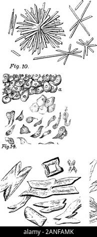 Eine bebilderte Medizinische encyclopaedic dictionaryBeing ein Wörterbuch der technischen Begriffe von Schriftstellern auf die Medizin und die Sicherheiten, in der Latein, Englisch, Französisch und Deutsch. . ^^v-:?..k = yt -&gt; ich - ^1.^5? • VVr -.- v o*. 0^-D M=* Ich--^n;^J F/?I&gt;. *,.?^-,-,- ^-^ VJ-JIS 9-A. R. ^^M^y; d i = i9. ii. ^-^ Stockfoto