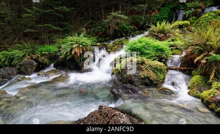 Wasserfall auf einem namenlosen Bach und bemoosten grünen Felsbrocken im Nelson Lakes National Park, Neuseeland. Stockfoto