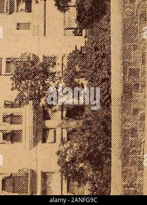 Das blaue Buch von Boston ..: Enthält ..Boston, Brookline, Cambridge, Chestnut Hill und Milton .. . Stockfoto