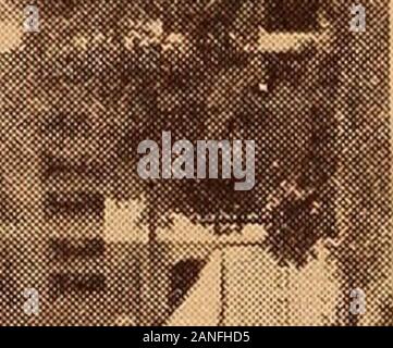 Das blaue Buch von Boston ..: Enthält ..Boston, Brookline, Cambridge, Chestnut Hill und Milton .. . Stockfoto